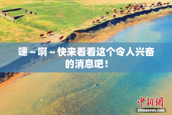 嗯～啊～快来看看这个令人兴奋的消息吧！