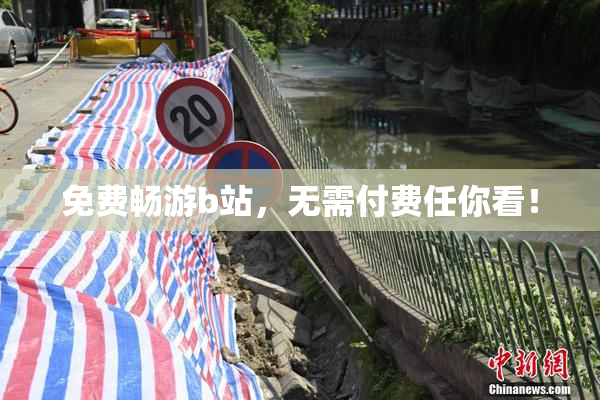 免费畅游b站，无需付费任你看！