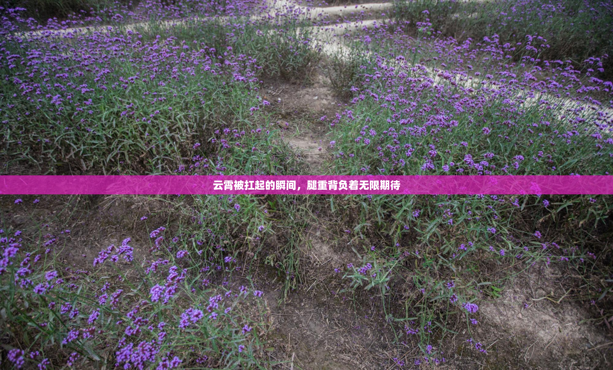 云霄被扛起的瞬间，腿重背负着无限期待