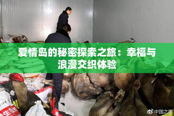 爱情岛的秘密探索之旅：幸福与浪漫交织体验