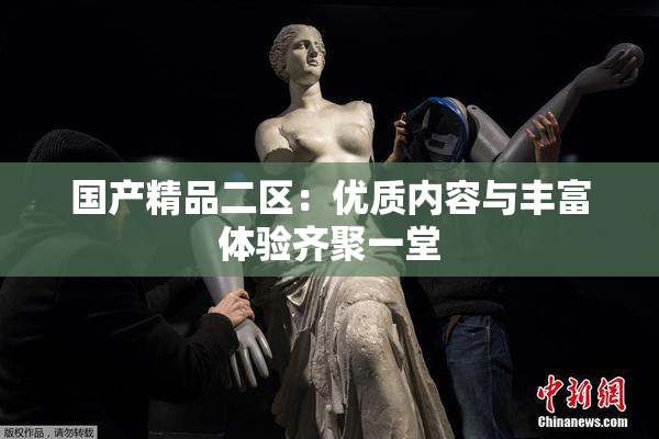 国产精品二区：优质内容与丰富体验齐聚一堂