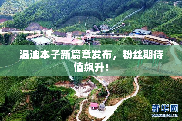 温迪本子新篇章发布，粉丝期待值飙升！