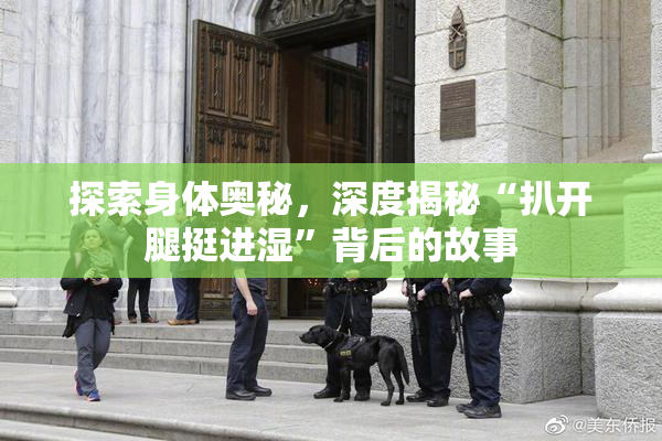 探索身体奥秘，深度揭秘“扒开腿挺进湿”背后的故事