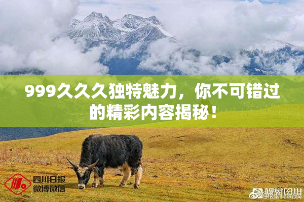 999久久久独特魅力，你不可错过的精彩内容揭秘！