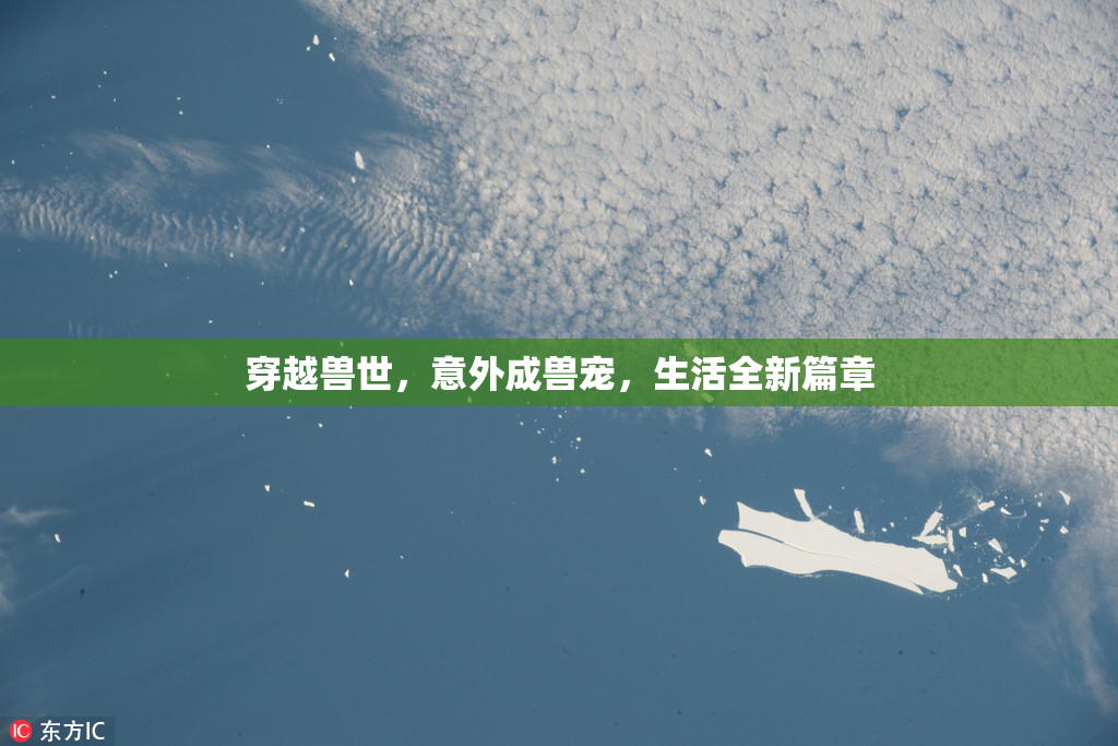 穿越兽世，意外成兽宠，生活全新篇章