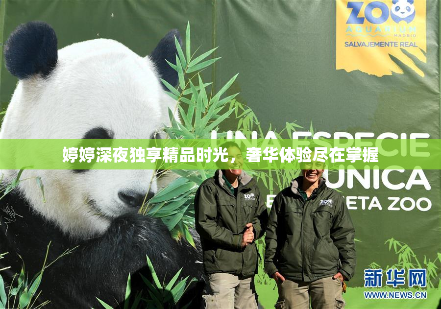 婷婷深夜独享精品时光，奢华体验尽在掌握
