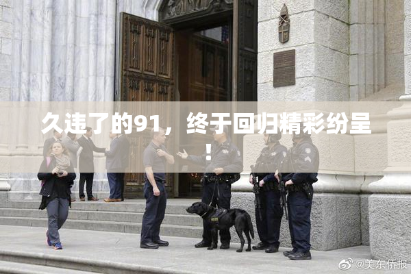 久违了的91，终于回归精彩纷呈！