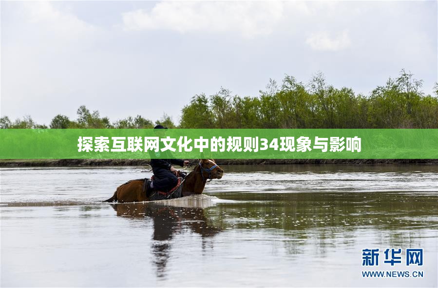 探索互联网文化中的规则34现象与影响