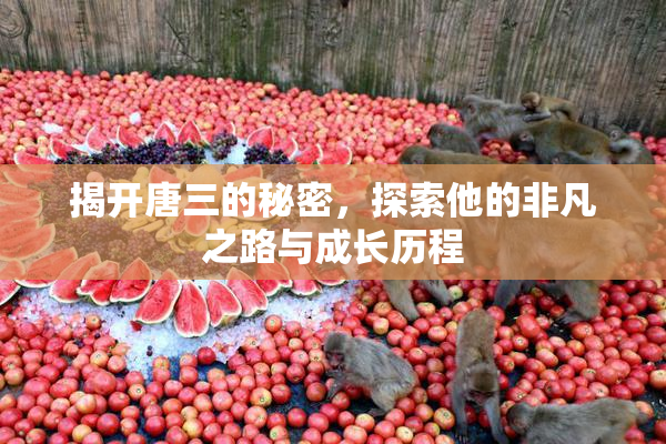 揭开唐三的秘密，探索他的非凡之路与成长历程
