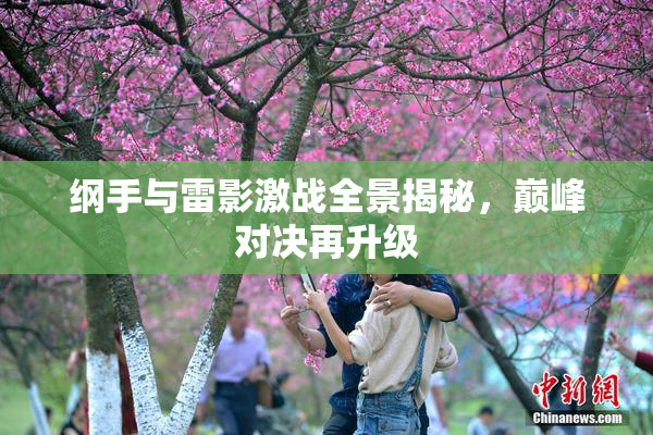 纲手与雷影激战全景揭秘，巅峰对决再升级