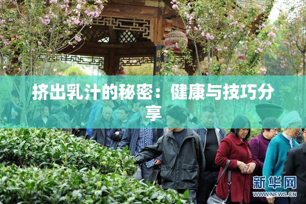 挤出乳汁的秘密：健康与技巧分享