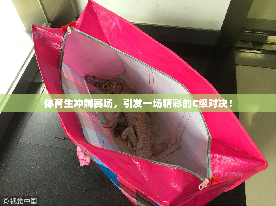 体育生冲刺赛场，引发一场精彩的C级对决！