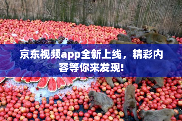 京东视频app全新上线，精彩内容等你来发现!