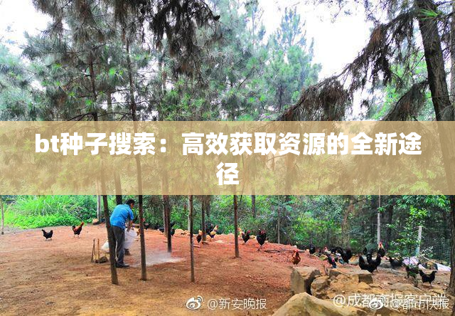 bt种子搜索：高效获取资源的全新途径