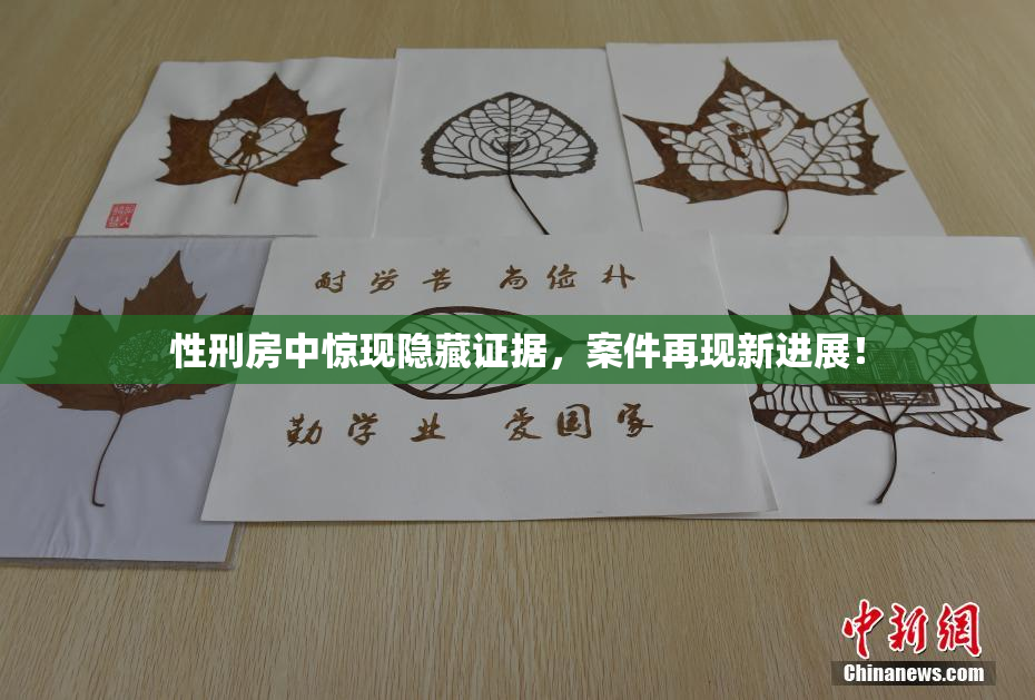 性刑房中惊现隐藏证据，案件再现新进展！