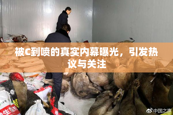 被C到喷的真实内幕曝光，引发热议与关注