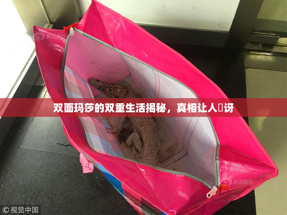 双面玛莎的双重生活揭秘，真相让人驚讶