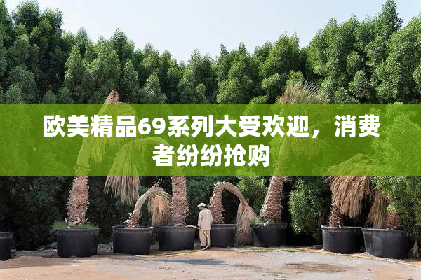 欧美精品69系列大受欢迎，消费者纷纷抢购