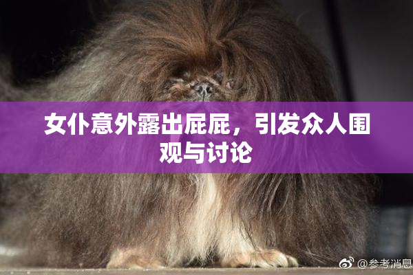 女仆意外露出屁屁，引发众人围观与讨论