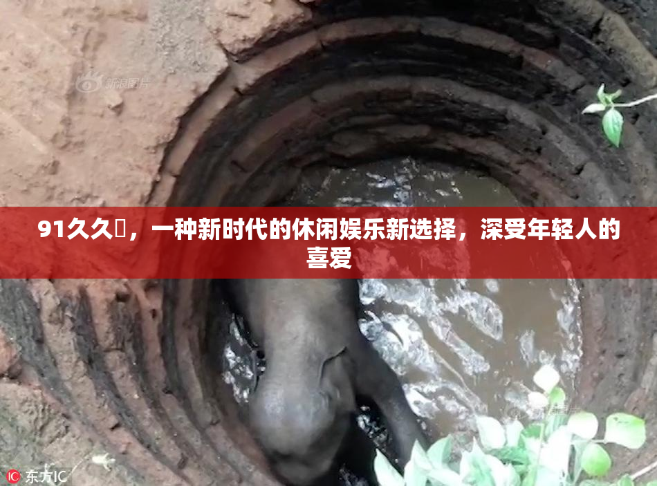 91久久擼，一种新时代的休闲娱乐新选择，深受年轻人的喜爱