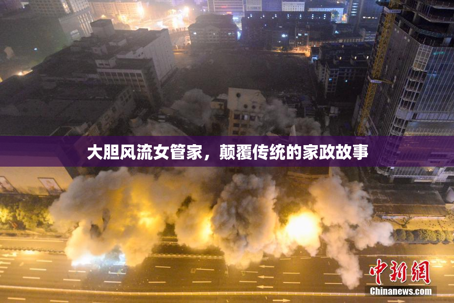 大胆风流女管家，颠覆传统的家政故事