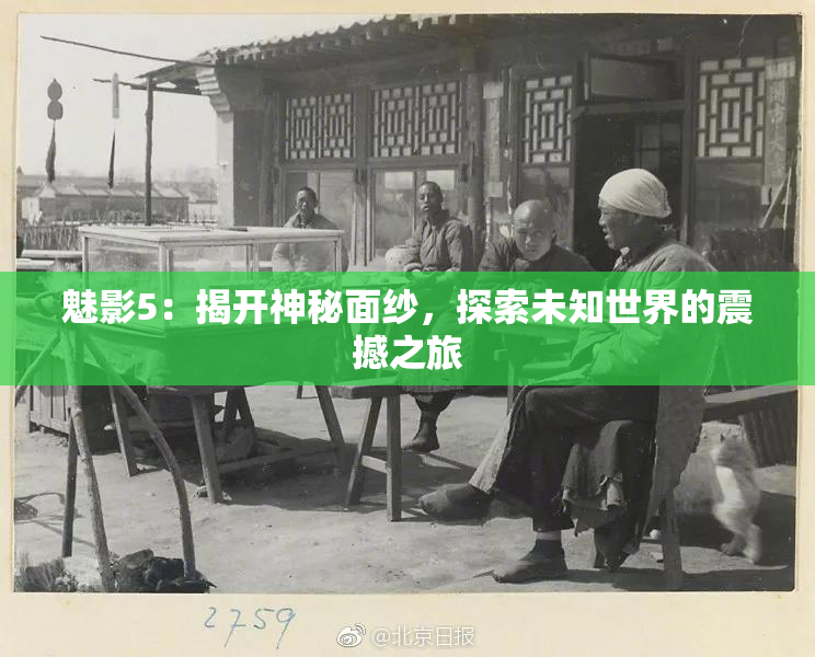 魅影5：揭开神秘面纱，探索未知世界的震撼之旅