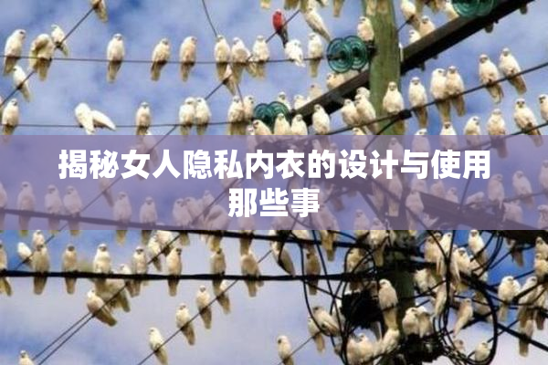 揭秘女人隐私内衣的设计与使用那些事