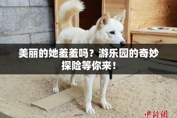 美丽的她羞羞吗？游乐园的奇妙探险等你来！