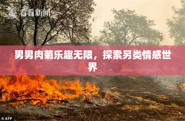 男男肉菊乐趣无限，探索另类情感世界