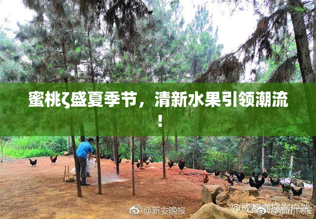 蜜桃ζ盛夏季节，清新水果引领潮流！