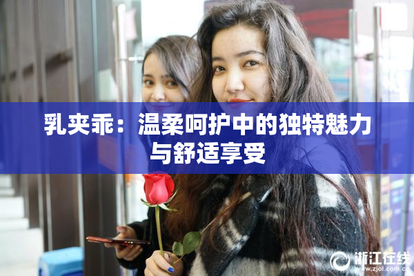 乳夹乖：温柔呵护中的独特魅力与舒适享受