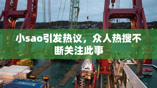 小sao引发热议，众人热搜不断关注此事