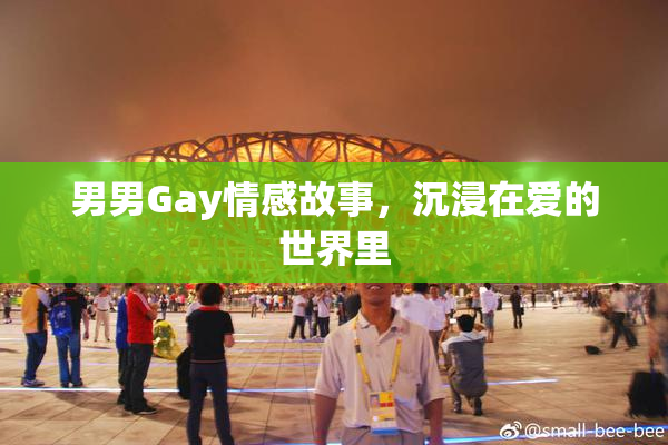 男男Gay情感故事，沉浸在爱的世界里