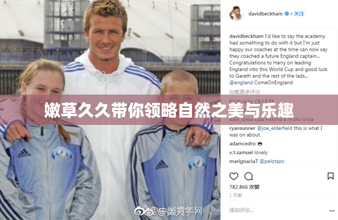 嫩草久久带你领略自然之美与乐趣