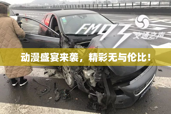 动漫盛宴来袭，精彩无与伦比！