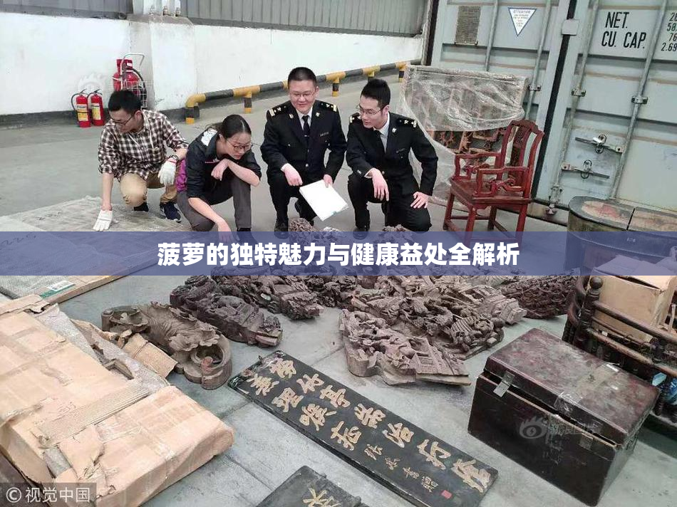 菠萝的独特魅力与健康益处全解析