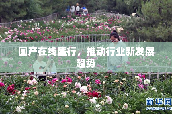 国产在线盛行，推动行业新发展趋势