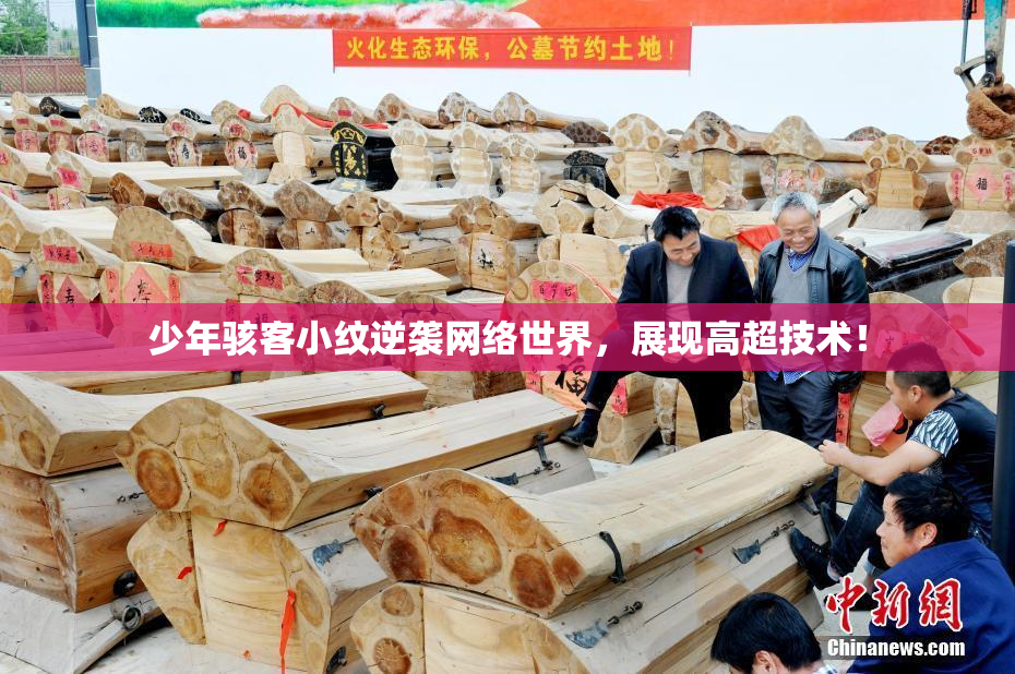 少年骇客小纹逆袭网络世界，展现高超技术！