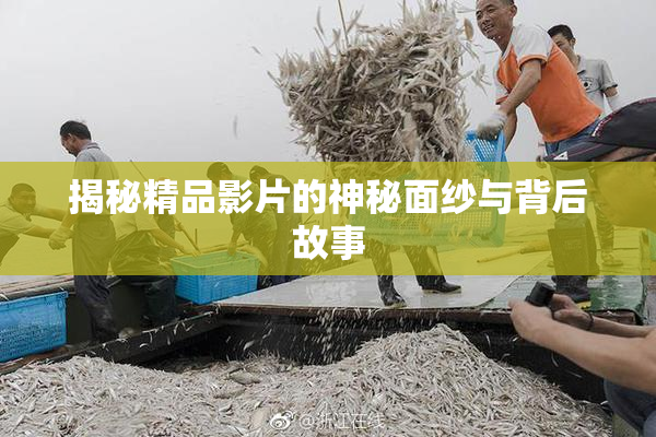 揭秘精品影片的神秘面纱与背后故事