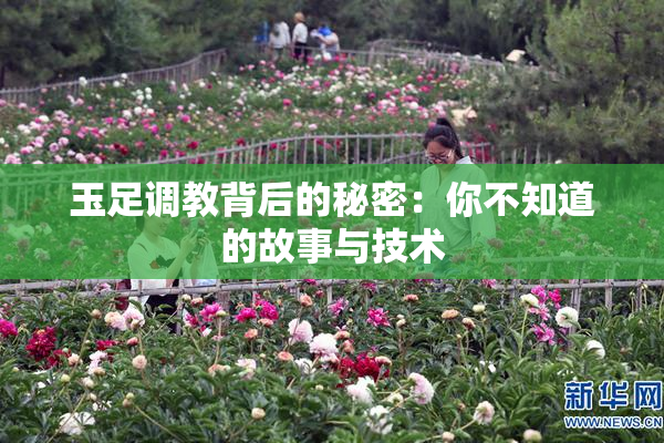 玉足调教背后的秘密：你不知道的故事与技术