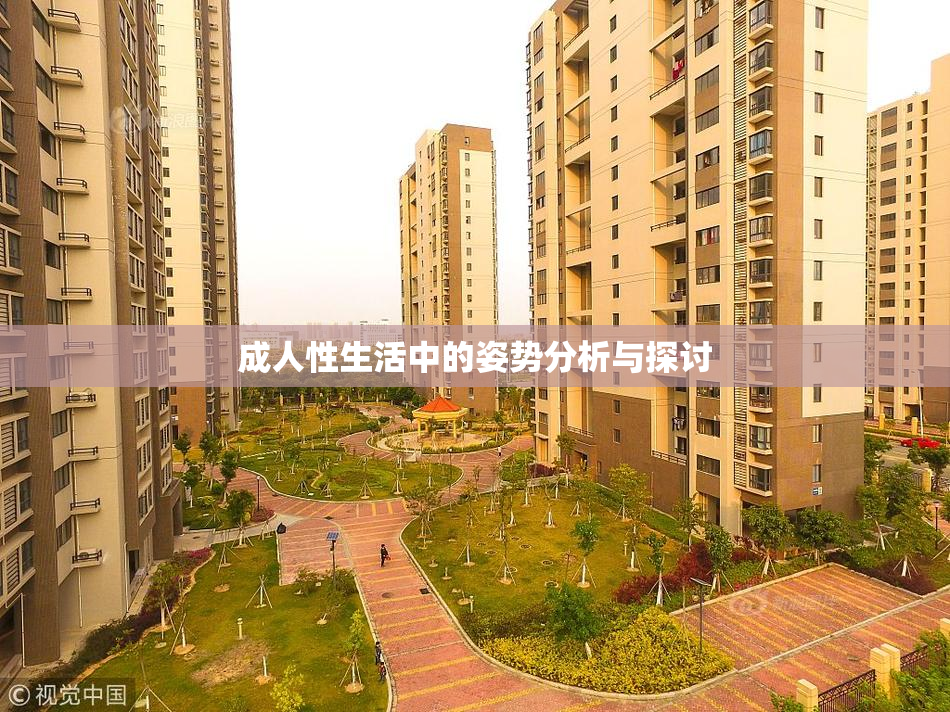 成人性生活中的姿势分析与探讨