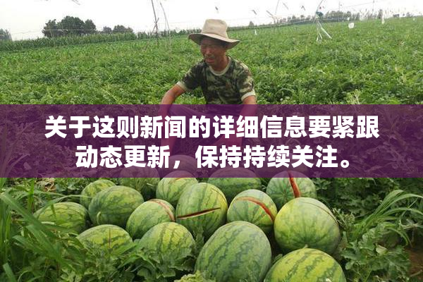 关于这则新闻的详细信息要紧跟动态更新，保持持续关注。