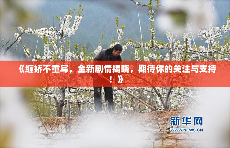 《缠娇不重写，全新剧情揭晓，期待你的关注与支持！》