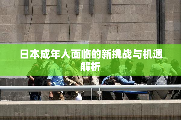 日本成年人面临的新挑战与机遇解析