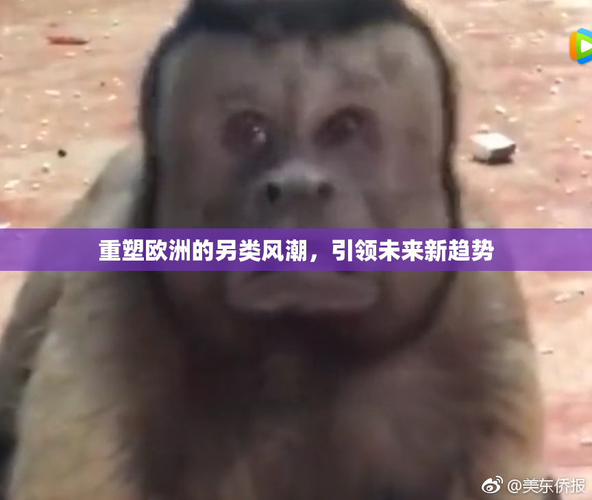 重塑欧洲的另类风潮，引领未来新趋势