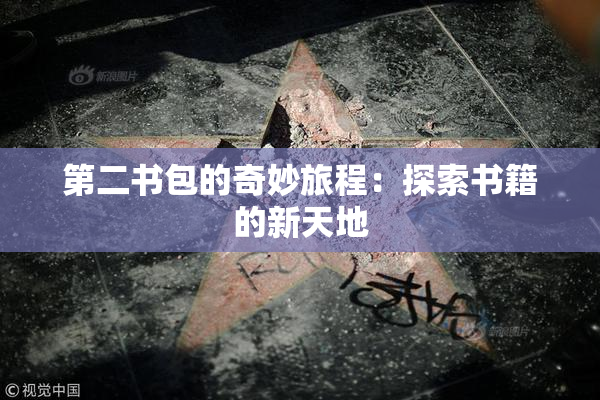 第二书包的奇妙旅程：探索书籍的新天地