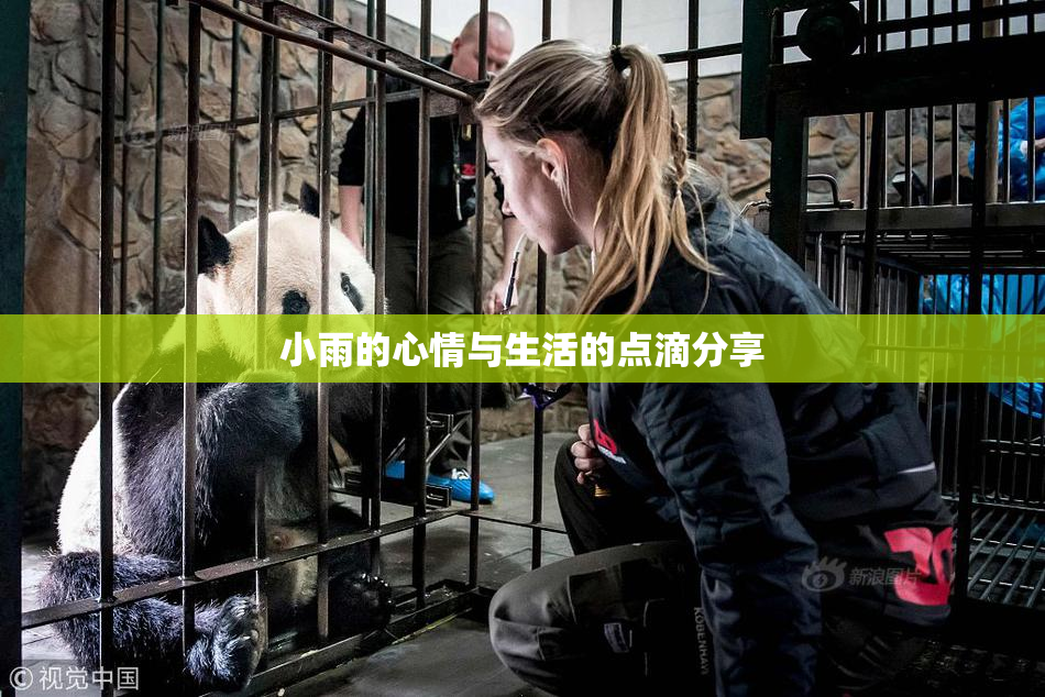 小雨的心情与生活的点滴分享