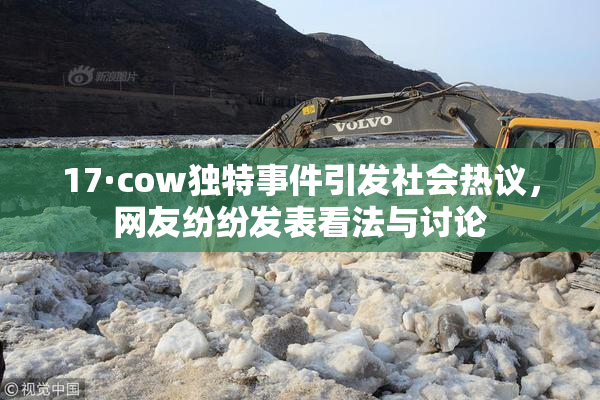 17·cow独特事件引发社会热议，网友纷纷发表看法与讨论