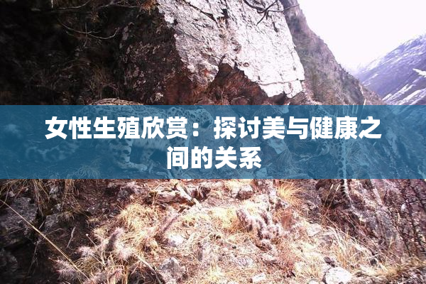 女性生殖欣赏：探讨美与健康之间的关系