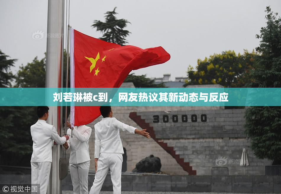 刘若琳被c到，网友热议其新动态与反应